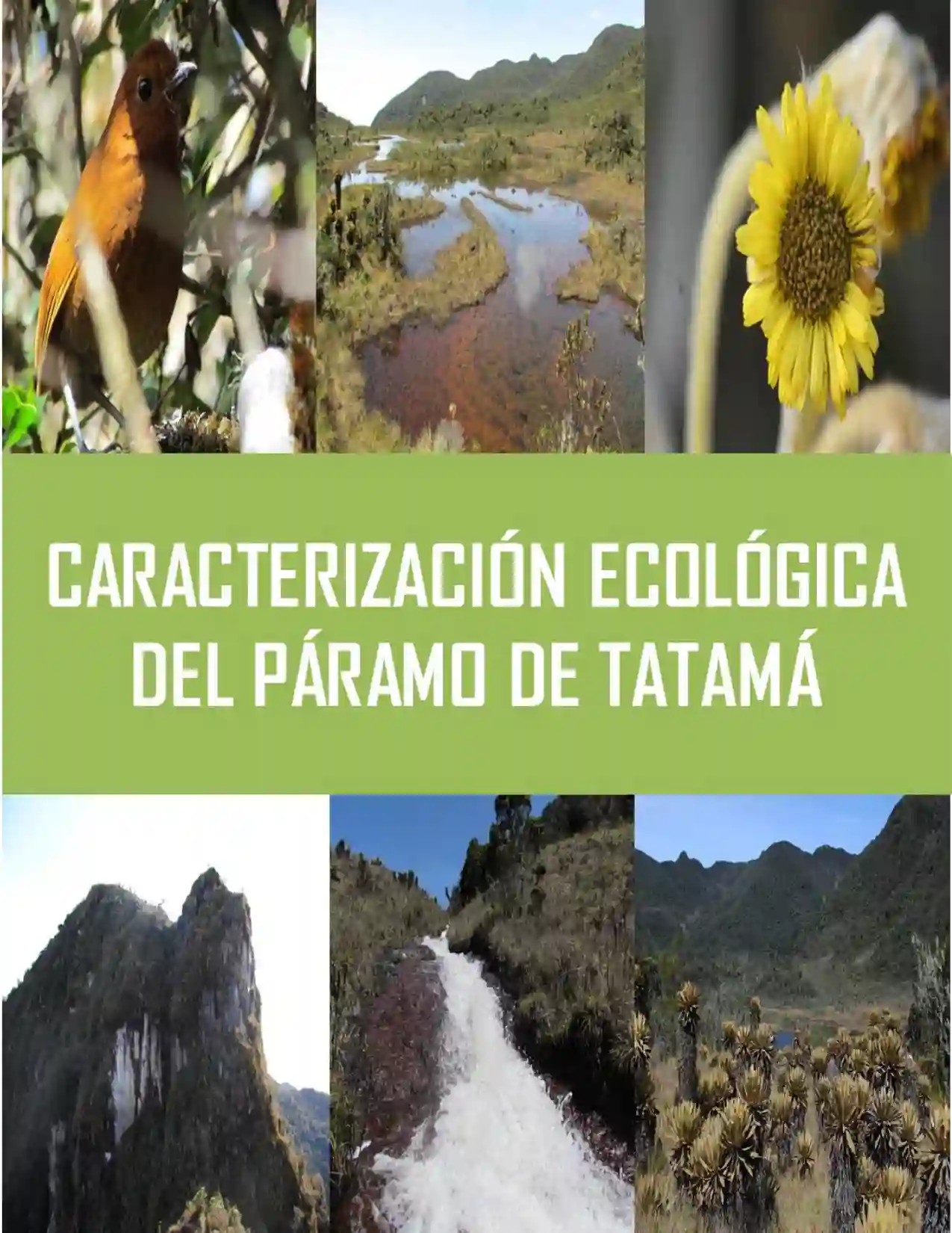 Portada Caracterización ecológica y sociocultural del Páramo de Tatamá, Pueblo Rico-Risaralda