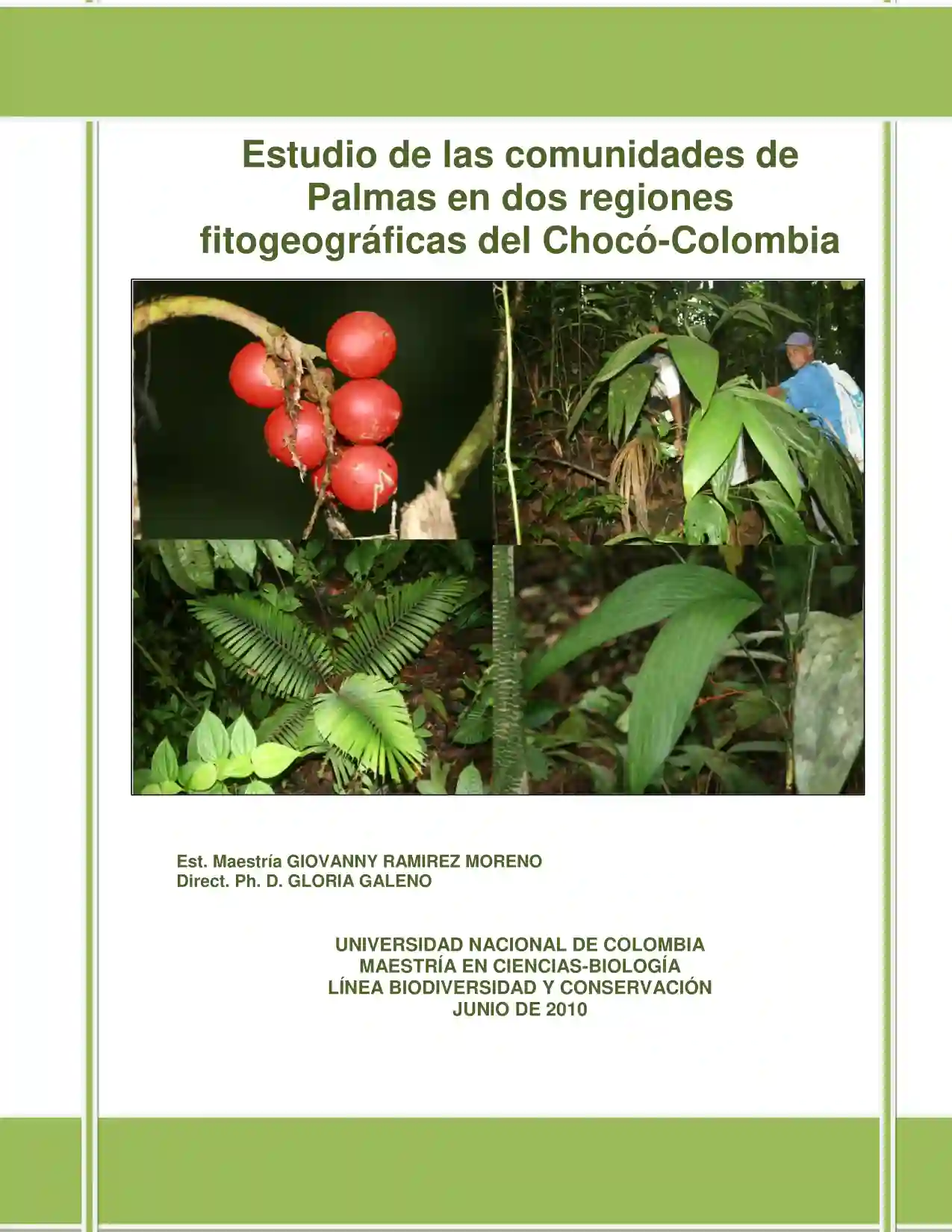 Portada Estudio de la comunidad de Palmas en dos regiones fitogeografías del Chocó Biogeográfico Colombiano