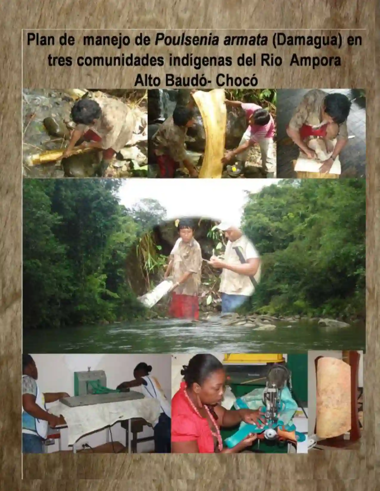 Portada Plan de manejo integral de la Damagua (Poulsenia armata), en 3 comunidades indígenas del Rio Ampora- Alto Bauó