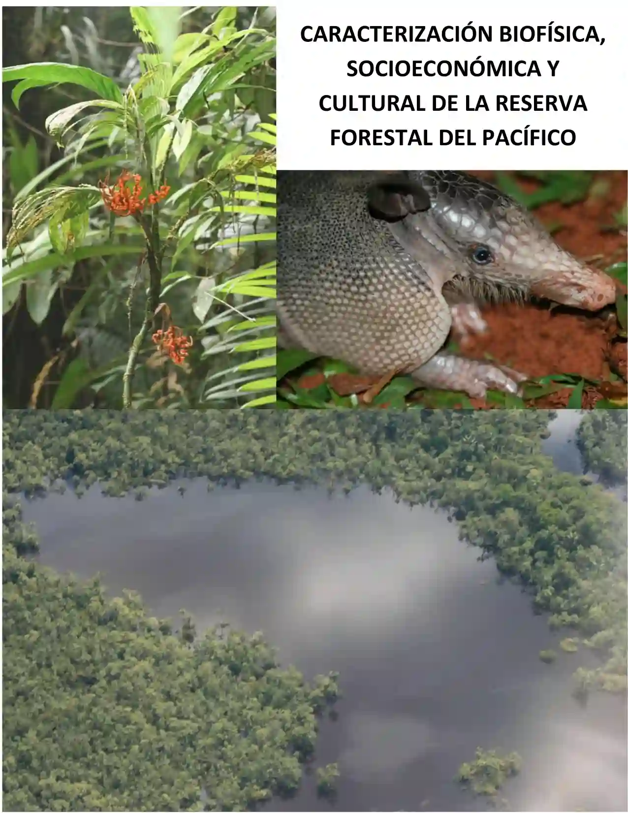 Portada Zonificación ambiental de la reserva forestal del Pacifico Colombiano