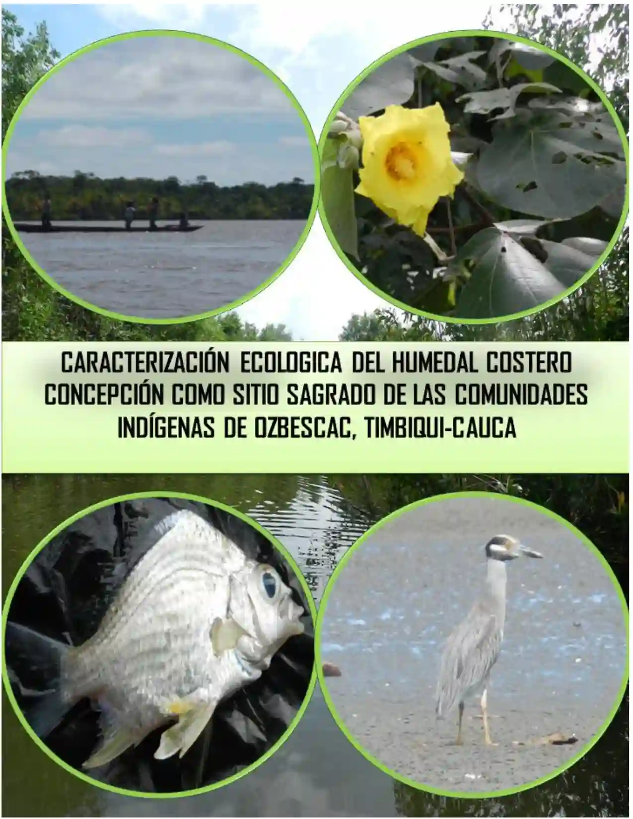 Portada Caracterización Ecológica de la Vegetación Asociada al Humedal Costero Concepción, Como Sitio Sagrado de las Comunidades Indígenas de OZBESCAC, Timbiquí, Cauca