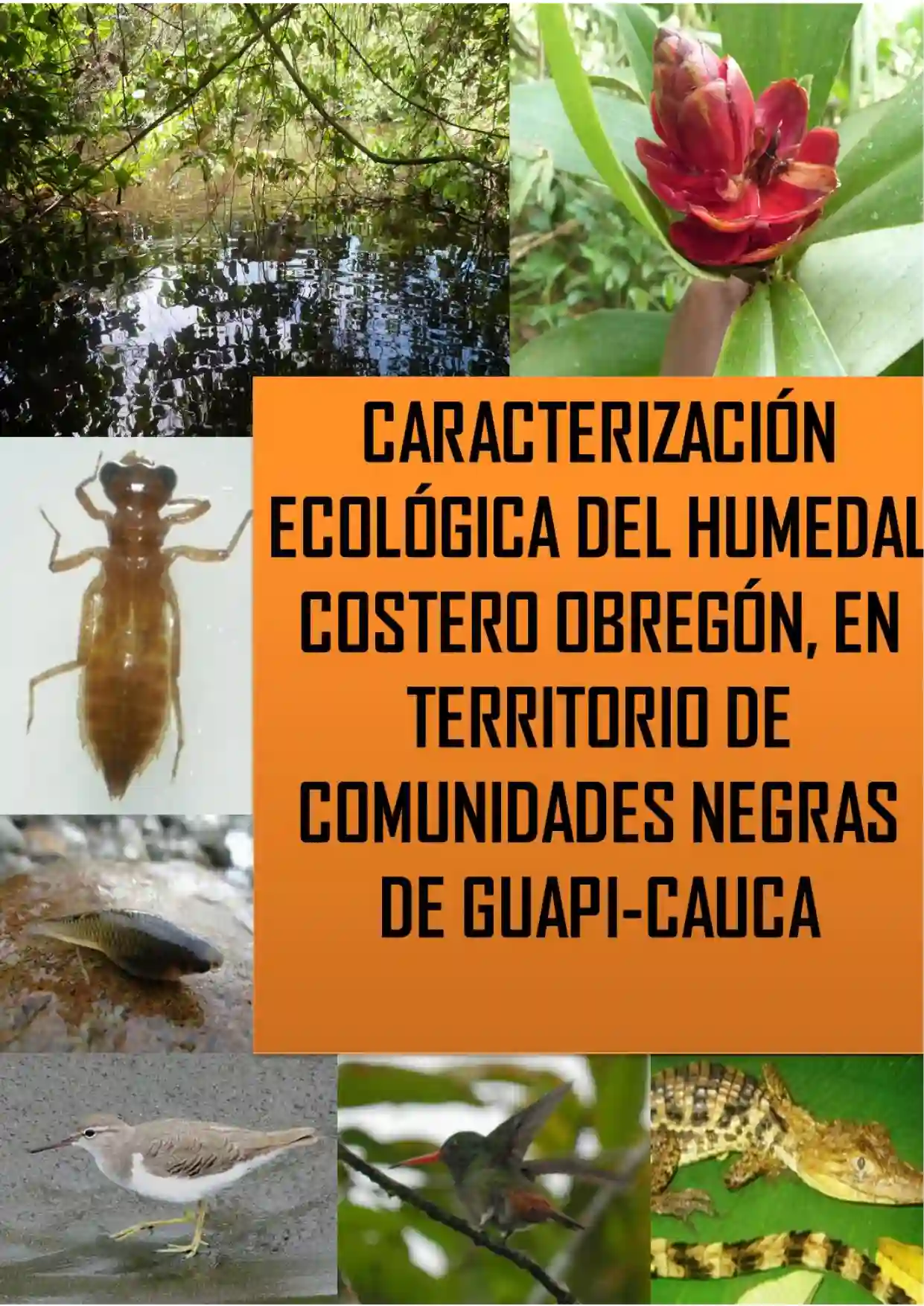 Portada Caracterización Ecológica del Humedal Costero Obregón Guapi,Cauca