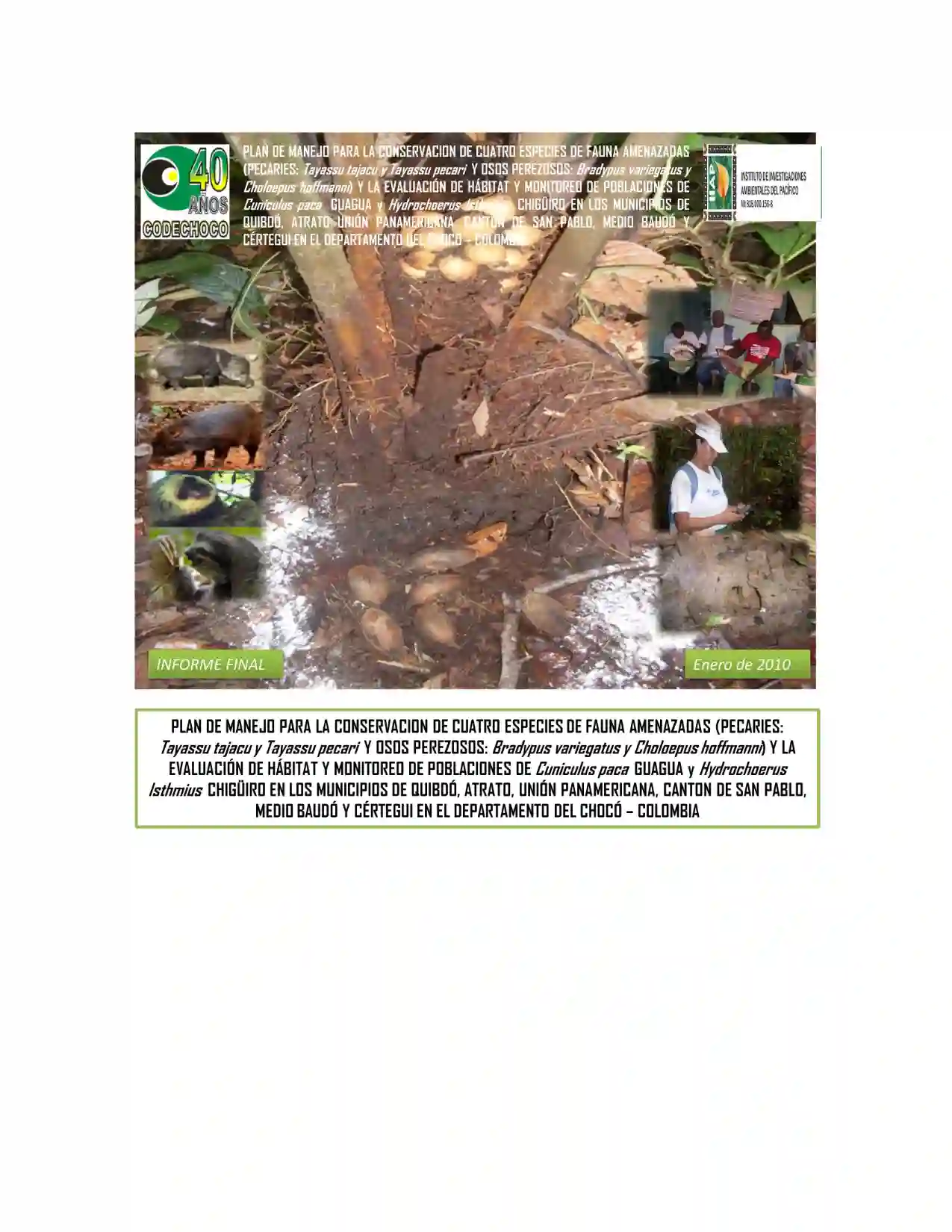 Portada Plan de conservacion perezosos tatabros y monitoreo guagua