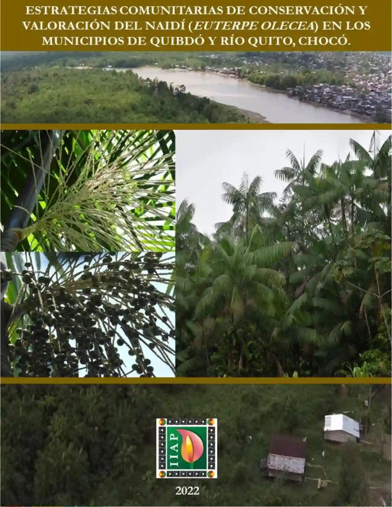 Portada Estrategias comunitarias de conservacion y valoracion del naidi quibdo rio quito choco