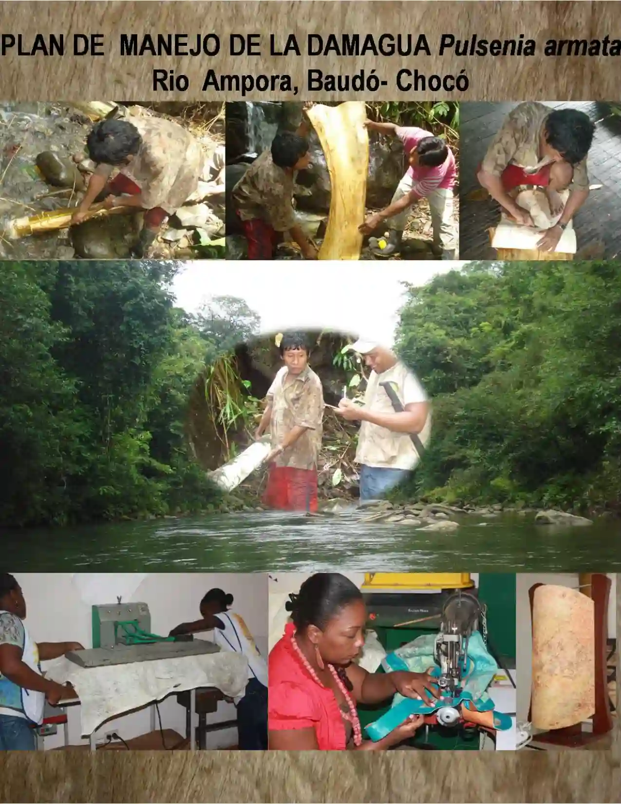 Portada Plan de manejo de la damagua