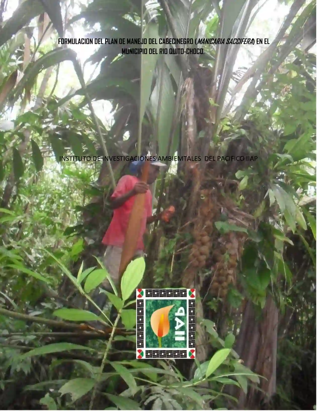 Portada Plan de manejo del cabecinegro rio quito