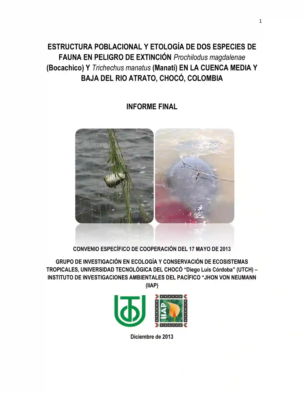 Portada Estructura poblacional y etología de dos especies de fauna en peligro de extinción prochilodus magdalenae (bocachico) y trichechus manatus (manatí) en la cuenca media y baja del rio atrato, chocó, colombia